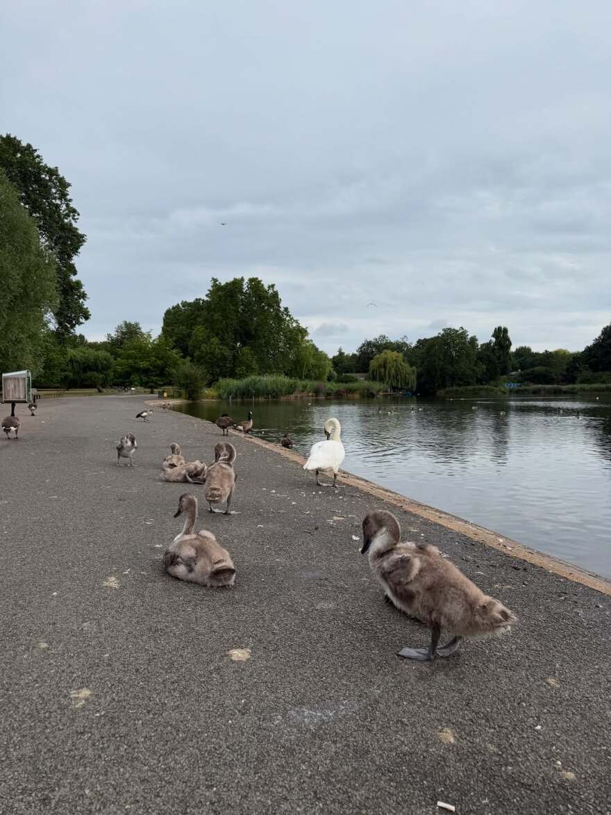 Τόνια Σωτηροπούλου - Κωστής Μαραβέγιας: Καλοκαιρινή απόδραση στο Λονδίνο - Δείτε φωτογραφίες