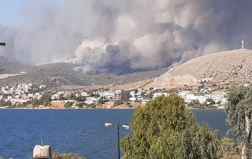 Στα περίχωρα της Χαλκίδας η φωτιά στην Εύβοια, στο κέντρο της πόλης φτάνουν οι καπνοί - Δύσκολες φωτιές σε Εύβοια, Κύθηρα, Μεσσηνία και Κρήτη xalkida-_2_