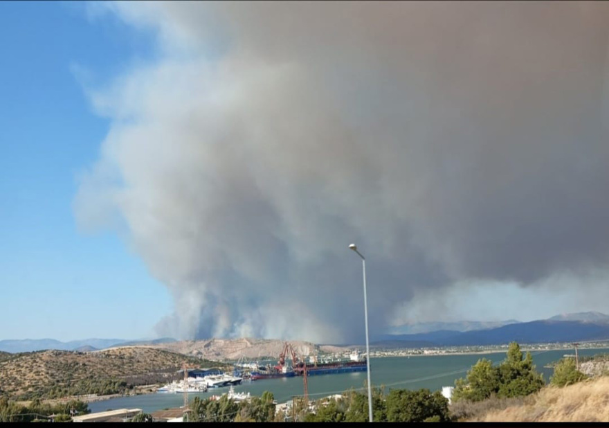 Στα περίχωρα της Χαλκίδας η φωτιά στην Εύβοια, στο κέντρο της πόλης φτάνουν οι καπνοί - Δύσκολες φωτιές σε Εύβοια, Κύθηρα, Μεσσηνία και Κρήτη xalkida-_3_