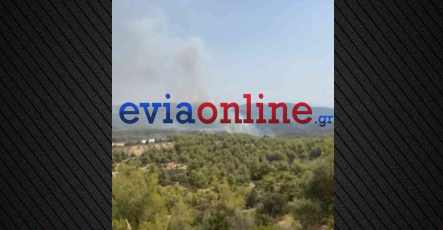 maketa-evia-anazopirwsi