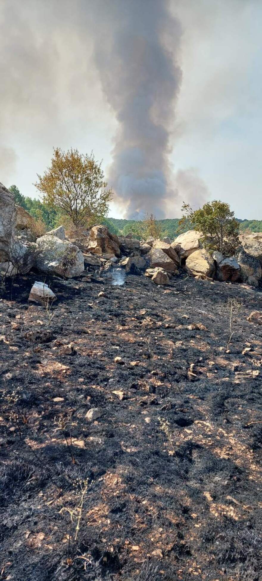 Η φωτιά στα Λιβερά Κοζάνης αναζωπυρώθηκε λόγω ανέμων 
