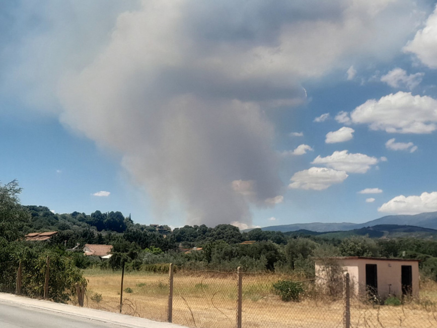 Φωτιά τώρα στην Αγιά Λάρισας, σηκώθηκαν έξι εναέρια μέσα - Μήνυμα 112 προς τους κατοίκους για ετοιμότητα