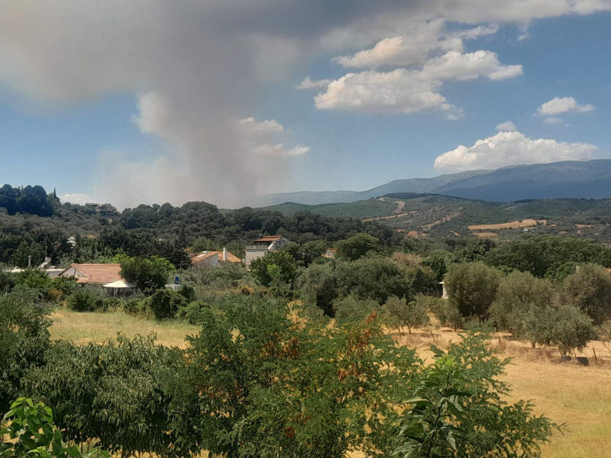 Φωτιά τώρα στην Αγιά Λάρισας, σηκώθηκαν έξι εναέρια μέσα - Μήνυμα 112 προς τους κατοίκους για ετοιμότητα