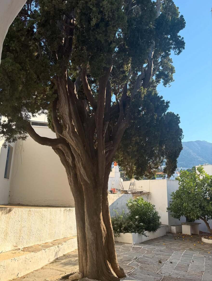 Η Νταϊάν φον Φίρστενμπεργκ έκανε διακοπές στα ελληνικά νησιά - Οι αναρτήσεις της από Σπέτσες, Σίφνο, Νίσυρο και Κω