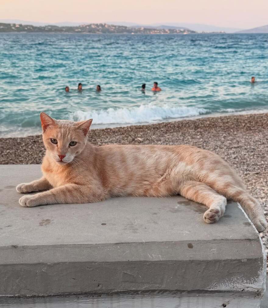 Η Νταϊάν φον Φίρστενμπεργκ έκανε διακοπές στα ελληνικά νησιά - Οι αναρτήσεις της από Σπέτσες, Σίφνο, Νίσυρο και Κω