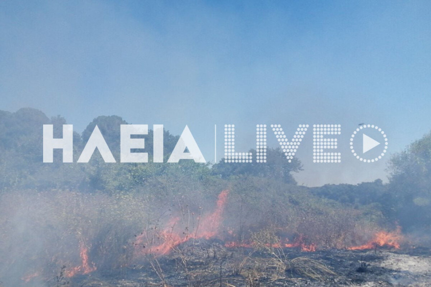 Φωτιά τώρα στα Λεχαινά Ηλείας - Μήνυμα 112 για ετοιμότητα