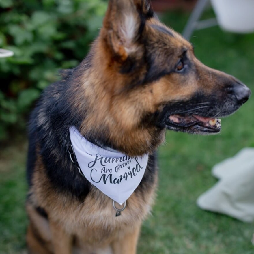 Η Ελπίδα Ιακωβίδου δημοσίευσε φωτογραφίες από τον γάμο της με τον Τζώνη Καλημέρη