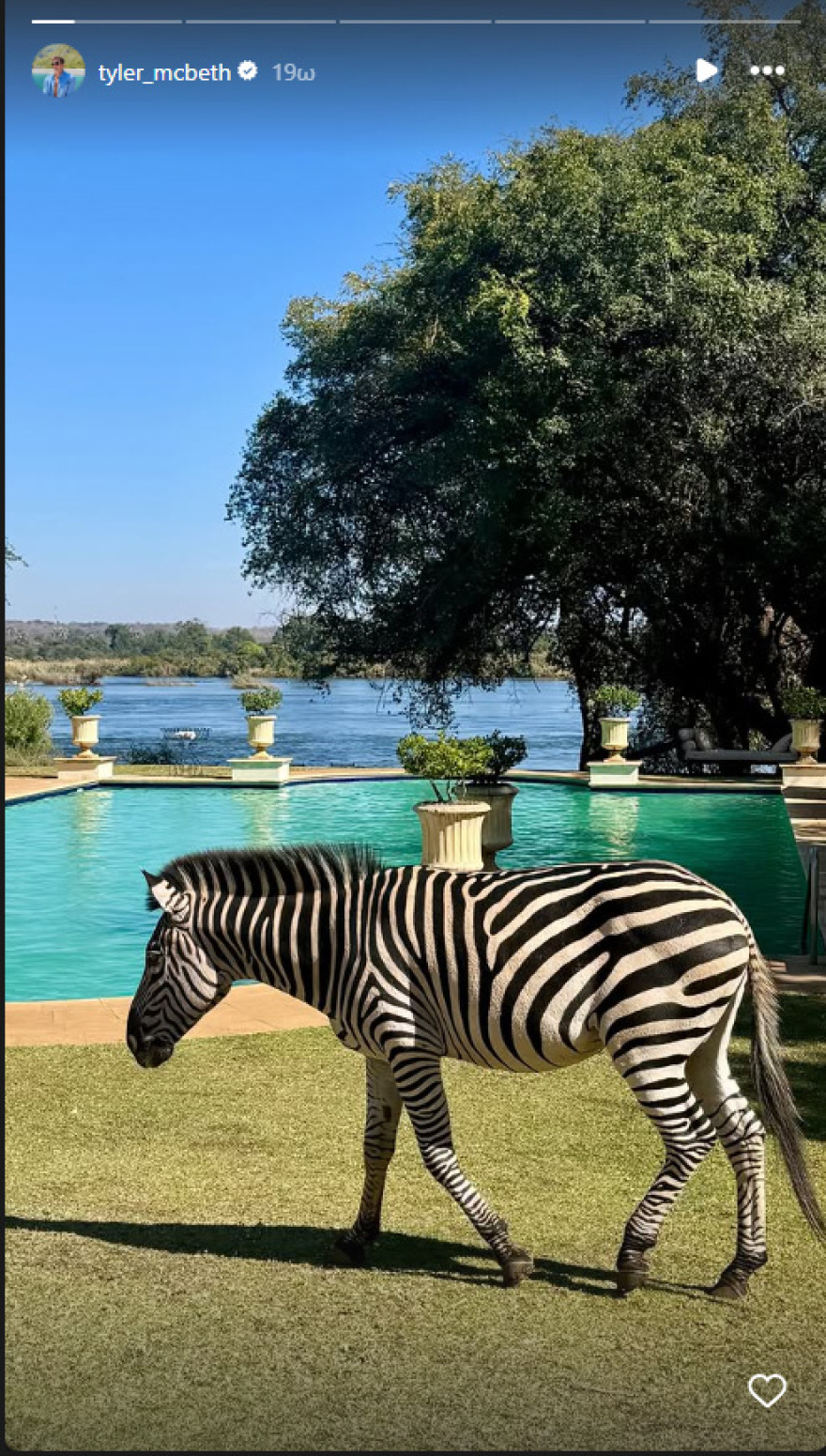 In Zambia for a wedding Kasselakis along with Tyler - See photos