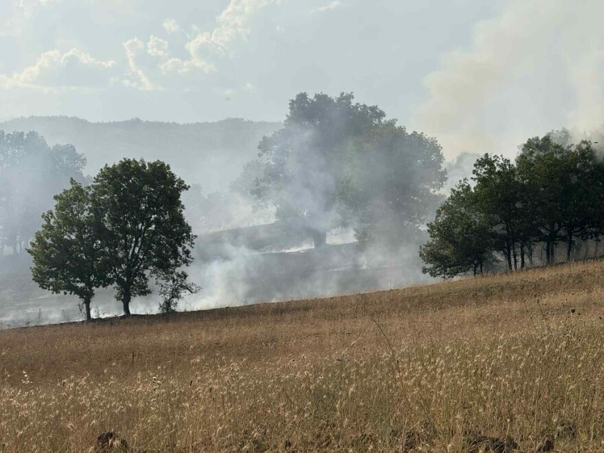 Φωτιά στην Αγναντιά Καλαμπάκας - Επιχειρούν 7 εναέρια, δείτε φωτογραφίες 