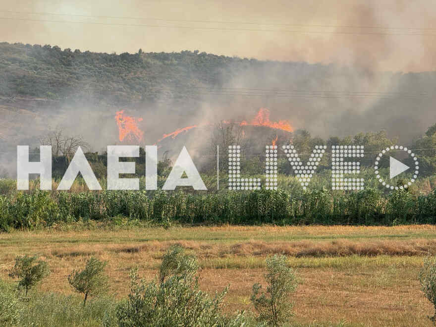 Φωτιά τώρα στο Χελιδόνι της Αρχαίας Ολυμπίας - Απεγκλώβισαν εγκαυματία, εκκενώνονται οικισμοί  