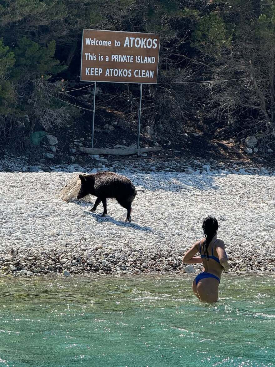 Η Δήμητρα Αλεξανδράκη φωτογραφίζεται τόπλες στις διακοπές της 