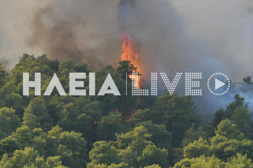 Περιορίστηκε η μεγάλη αναζωπύρωση της φωτιάς στο Χελιδόνι Αρχαίας Ολυμπίας