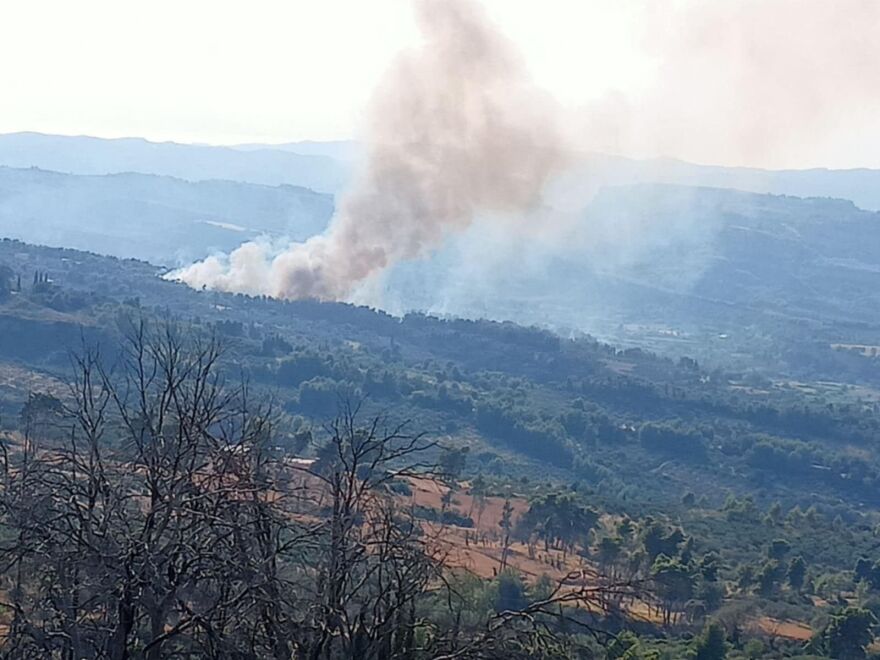Μεγάλη αναζωπύρωση της φωτιάς στο Χελιδόνι Αρχαίας Ολυμπίας - Κατευθύνεται προς τη Νεράιδα
