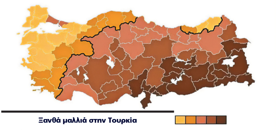 Οι χάρτες της «συγγένειας»: Οι Τούρκοι ανακαλύπτουν το... ελληνικό DNA τους