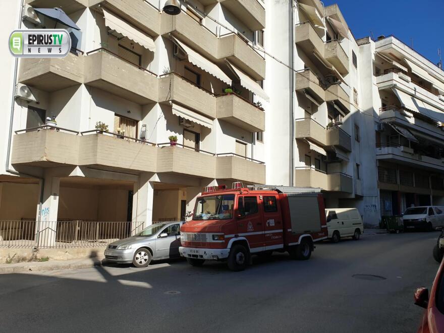 Διάσωση ζαρκαδιού ου περιπλανιόταν στην πόλη των Ιωαννίνων - Δείτε βίντεο και φωτογραφίες