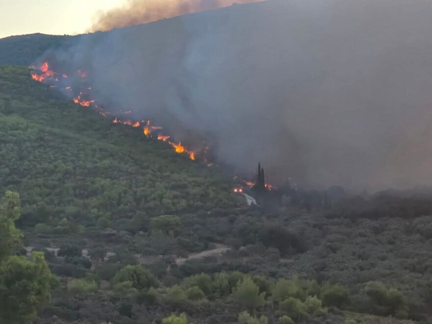 fotia-koiliomenos-1