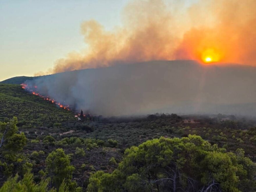 fotia-koiliomenos-2__1_