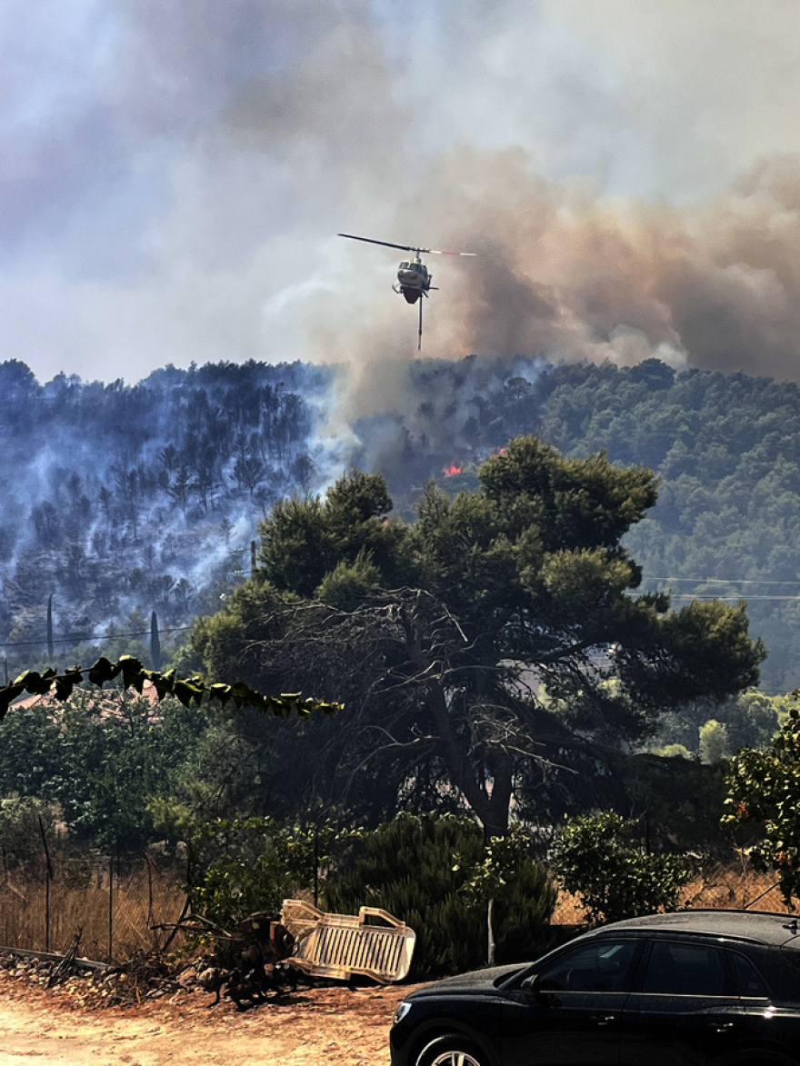 fotia-zakinthos1