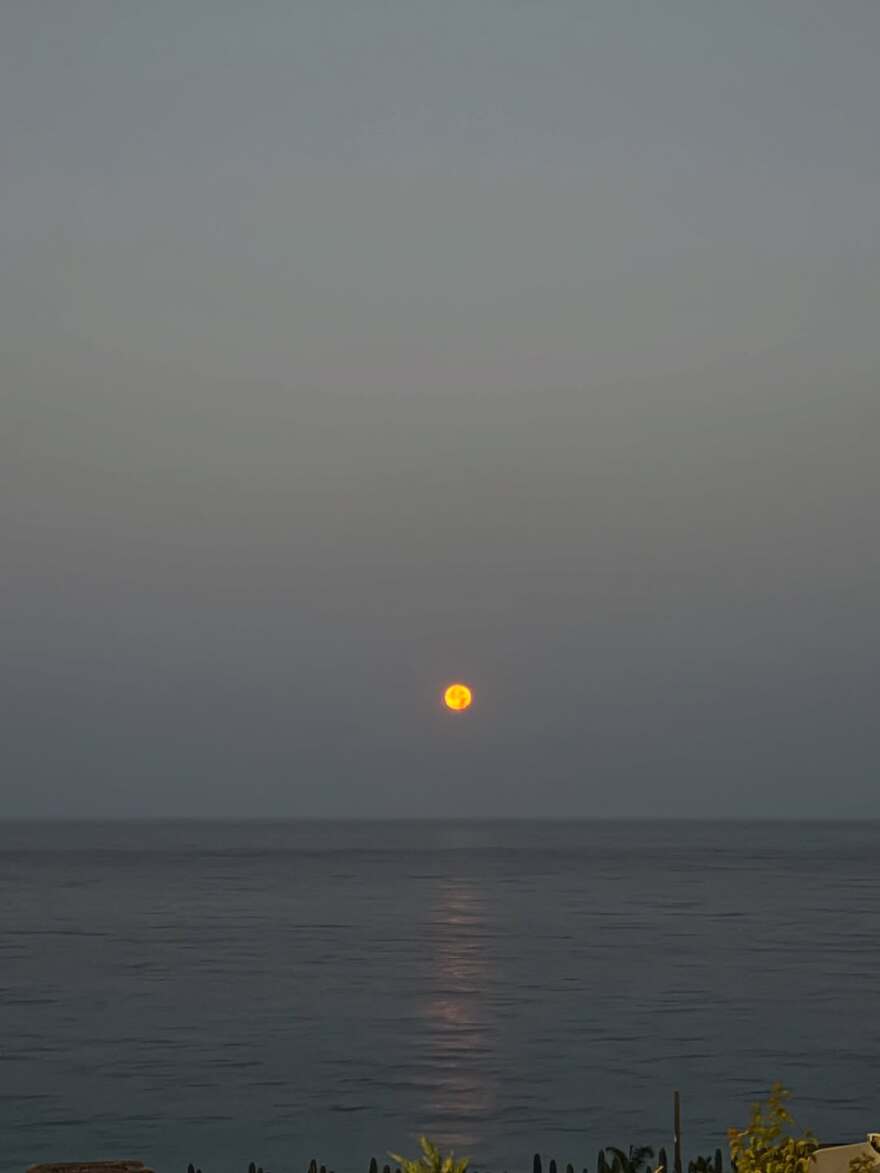 Κωνσταντίνος Αργυρός: «Αλβανία, η αγάπη σου είναι αξέχαστη» - Η ανάρτηση μετά τη συναυλία του 