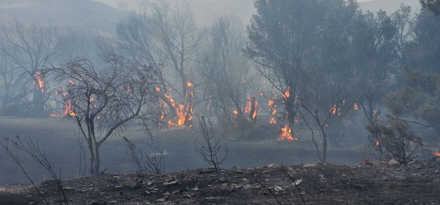 Μαίνεται η φωτιά στη Χίο: Απεγκλωβίστηκαν δεκάδες πολίτες από παραλίες - 16 εκκενώσεις οικισμών, δείτε βίντεο