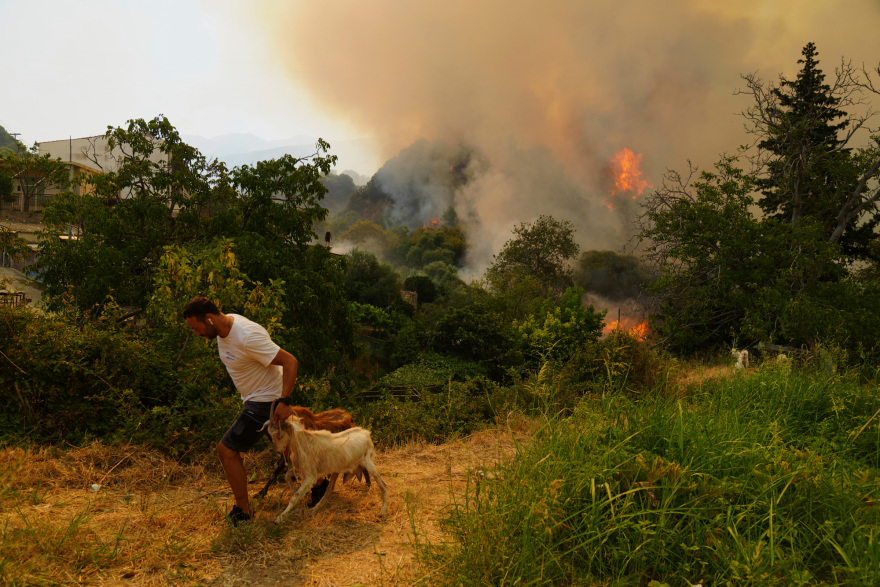 patracity_wildfires-ap-1