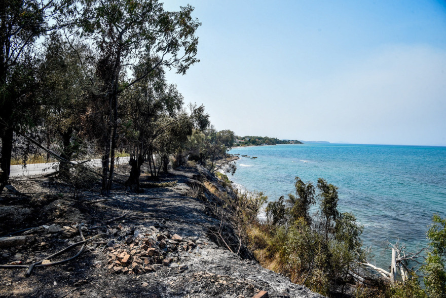Μετά από 48 ώρες στις φλόγες, η Αχαΐα μετράει τις πληγές της - Δείτε φωτογραφίες και βίντεο