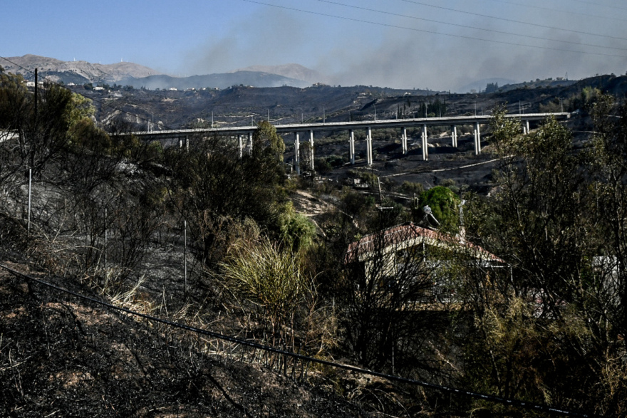 Μετά από 48 ώρες στις φλόγες, η Αχαΐα μετράει τις πληγές της - Δείτε φωτογραφίες και βίντεο