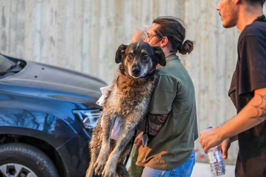 Μετά από 48 ώρες στις φλόγες, η Αχαΐα μετράει τις πληγές της - Δείτε φωτογραφίες και βίντεο