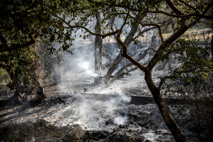 Μετά από 48 ώρες στις φλόγες, η Αχαΐα μετράει τις πληγές της - Δείτε φωτογραφίες και βίντεο