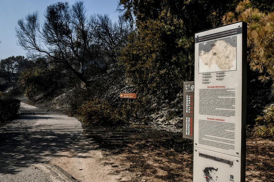 Μετά από 48 ώρες στις φλόγες, η Αχαΐα μετράει τις πληγές της - Δείτε φωτογραφίες και βίντεο