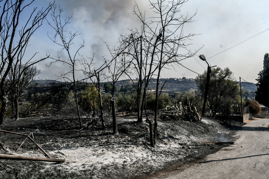 Μετά από 48 ώρες στις φλόγες, η Αχαΐα μετράει τις πληγές της - Δείτε φωτογραφίες και βίντεο
