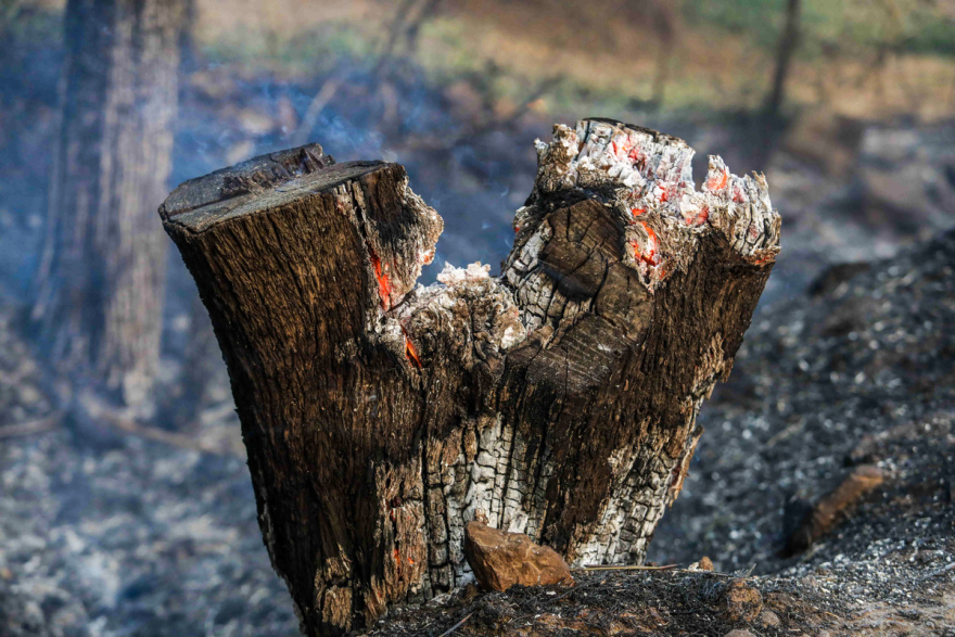 Μετά από 48 ώρες στις φλόγες, η Αχαΐα μετράει τις πληγές της - Δείτε φωτογραφίες και βίντεο