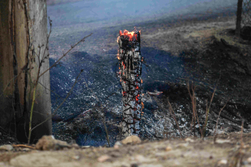 Μετά από 48 ώρες στις φλόγες, η Αχαΐα μετράει τις πληγές της - Δείτε φωτογραφίες και βίντεο