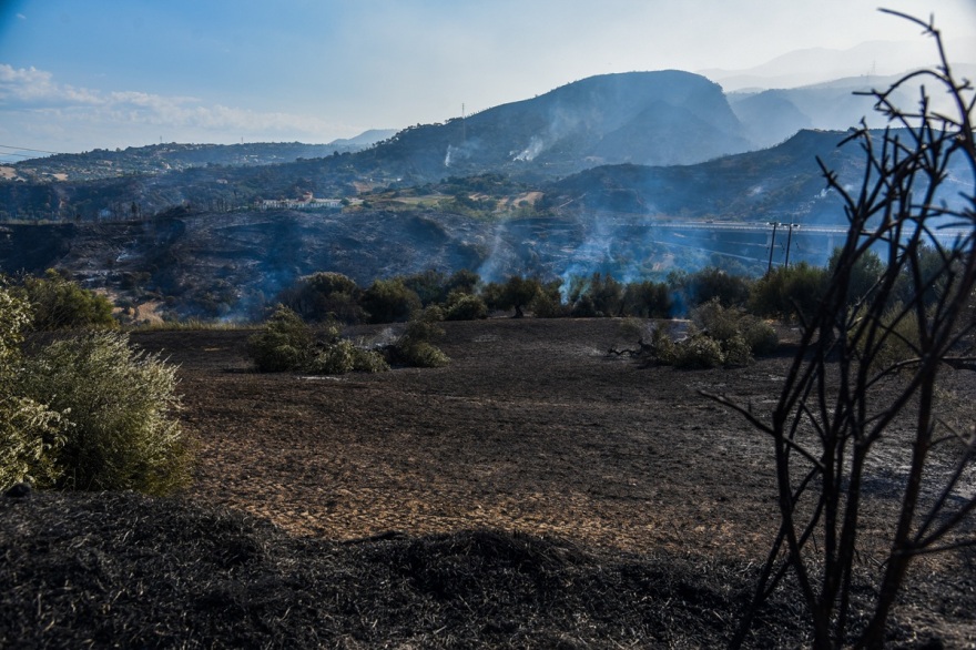 Διάσπαρτες εστίες σε Πάτρα και Χίο - Σε ύφεση τα πύρινα μέτωπα Ζάκυνθο και Πρέβεζα