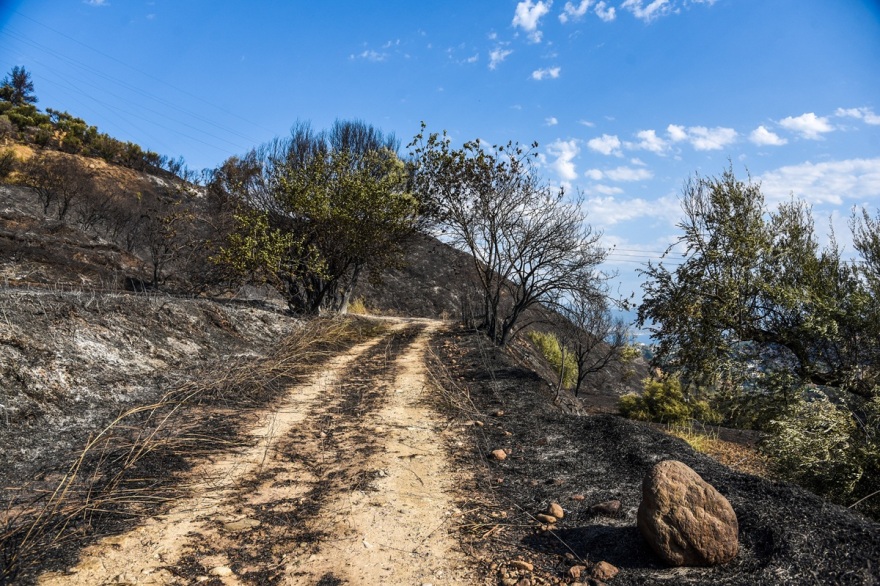 Διάσπαρτες εστίες σε Πάτρα και Χίο - Σε ύφεση τα πύρινα μέτωπα Ζάκυνθο και Πρέβεζα
