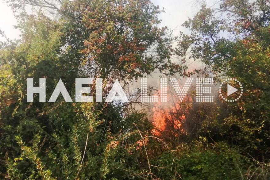 Μαίνεται η φωτιά στο Πηγάδι Ηλείας - Επιχειρούν 3 αεροσκάφη και 1 ελικόπτερο