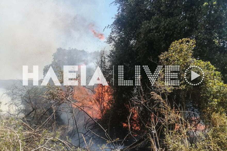 Μαίνεται η φωτιά στο Πηγάδι Ηλείας - Επιχειρούν 3 αεροσκάφη και 1 ελικόπτερο