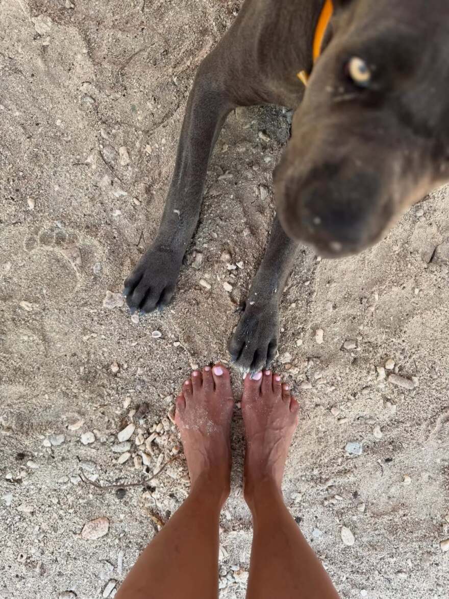 Χάλι Μπέρι: Οι φωτογραφίες από την τελευταία μέρα των διακοπών της - «Το τέλος ήρθε πολύ νωρίς»