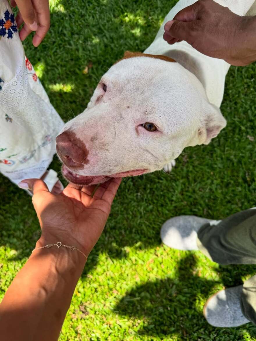 Χάλι Μπέρι: Οι φωτογραφίες από την τελευταία μέρα των διακοπών της - «Το τέλος ήρθε πολύ νωρίς»