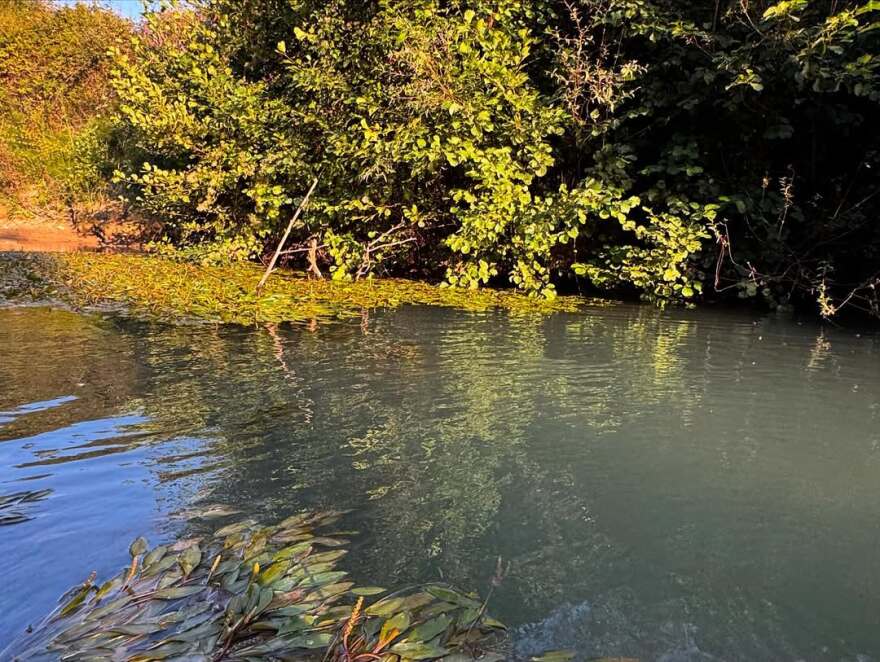 Η Μαριέττα Χρουσαλά έκανε καγιάκ στον Αχέροντα - Δείτε τα στιγμιότυπα