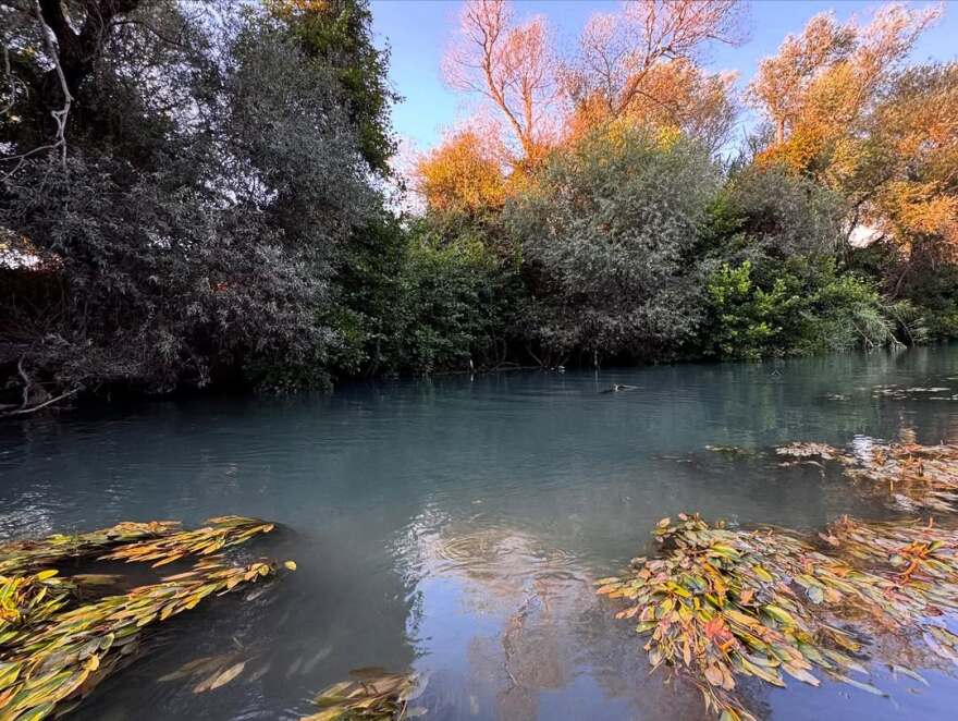 Η Μαριέττα Χρουσαλά έκανε καγιάκ στον Αχέροντα - Δείτε τα στιγμιότυπα