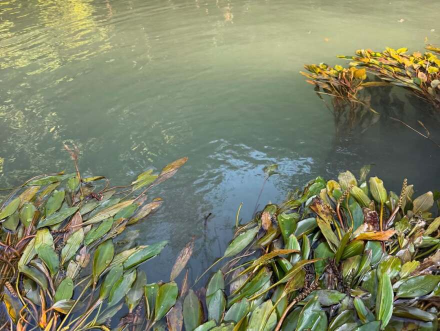 Η Μαριέττα Χρουσαλά έκανε καγιάκ στον Αχέροντα - Δείτε τα στιγμιότυπα