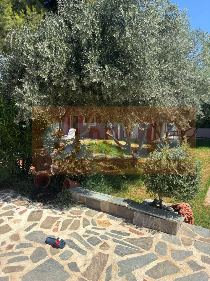 Η μονοκατοικία των Τούρκων στον Ωρωπό: Η πισίνα, το μπάρμπεκιου και τα πολυτελή ΙΧ για τις μετακινήσεις τους