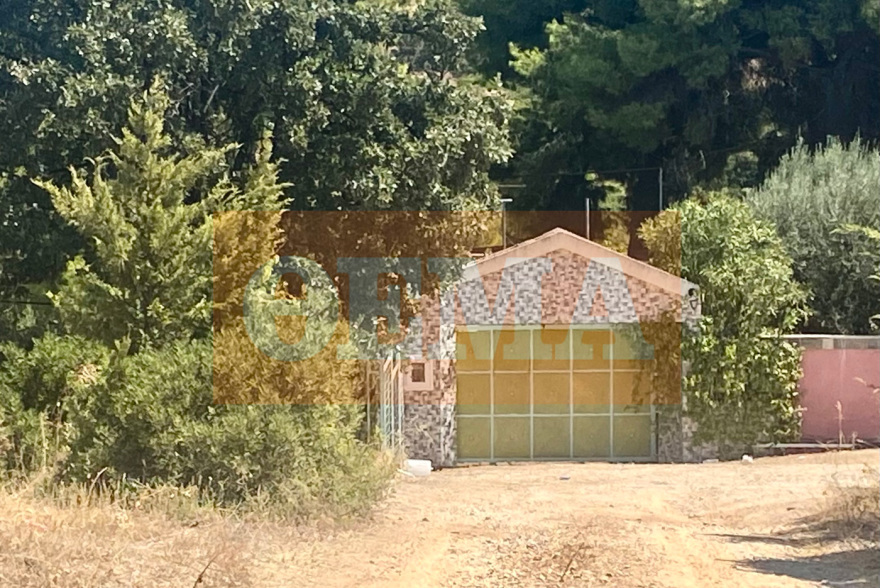 Η μονοκατοικία των Τούρκων στον Ωρωπό: Η πισίνα, το μπάρμπεκιου και τα πολυτελή ΙΧ για τις μετακινήσεις τους