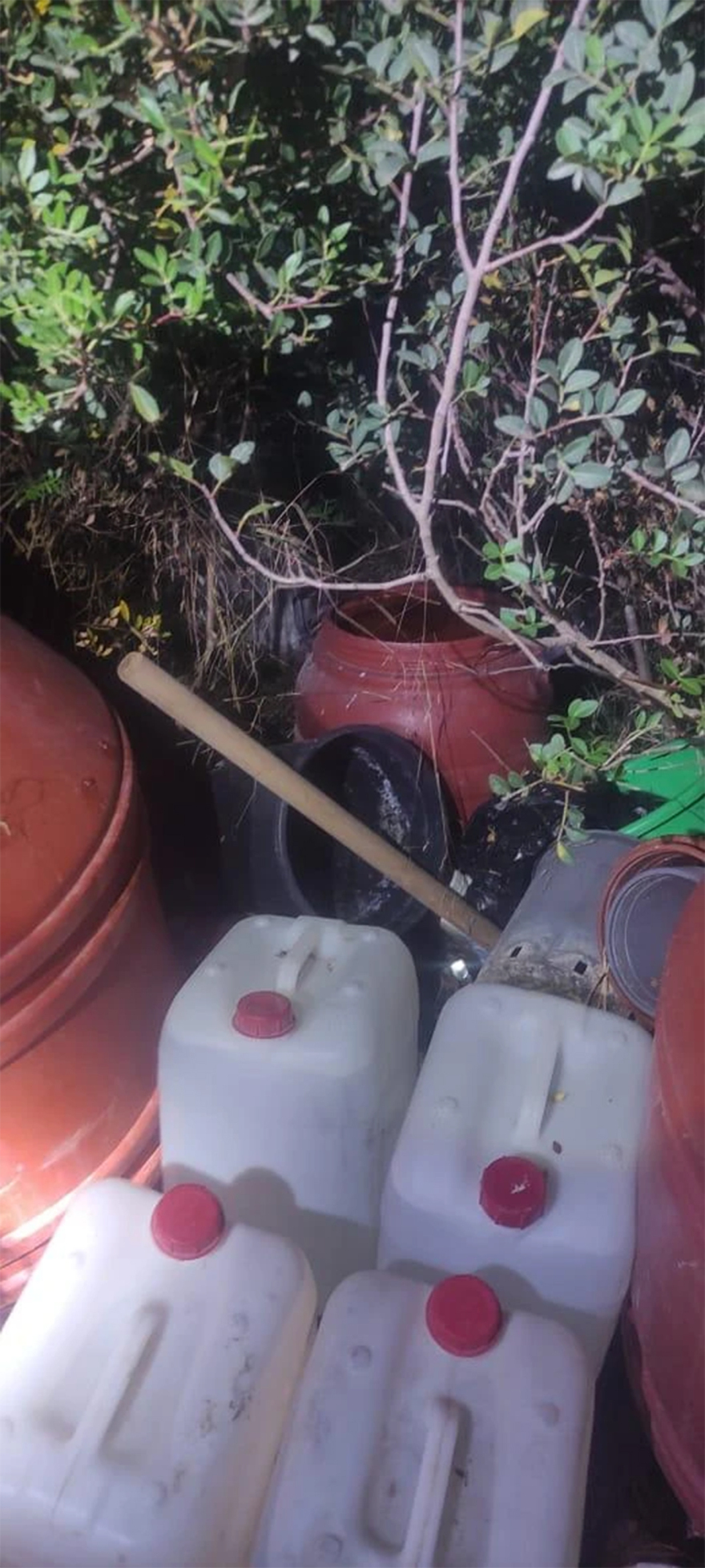 Επεισοδιακή επιχείρηση της ΕΛΑΣ στα Χανία: Βρήκαν 7 κιλά κάνναβη, τραυματίστηκαν δύο αστυνομικοί