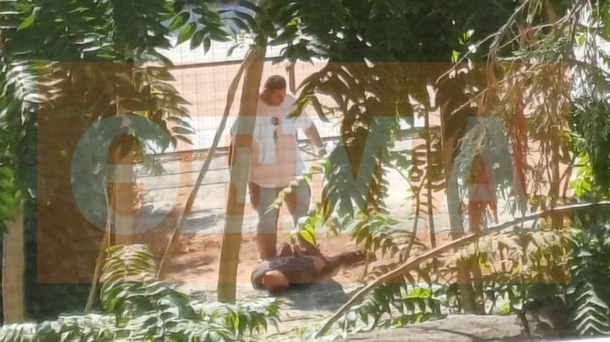 Συγκλονίζει η κόρη της 36χρονης στον Βόλο: Για μένα πέθανε κι αυτός, λέει για τον πατέρα της - Θα τον συναντήσω για να του πω «ντροπή»