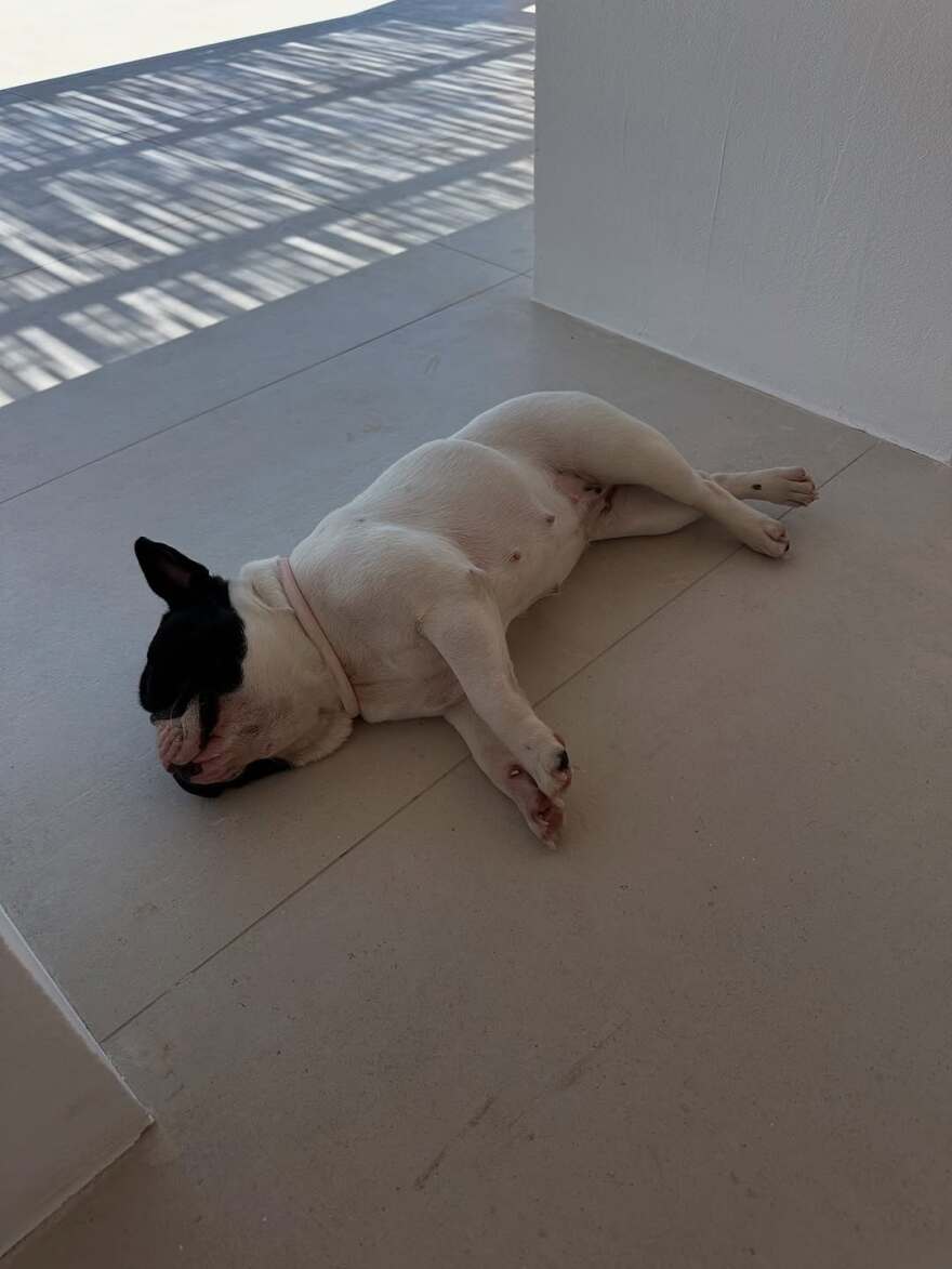 Κατερίνα Καινούργιου: Το φωτογραφικό άλμπουμ από τις διακοπές της με τον Παναγιώτη Κουτσουμπή - Στην εκπνοή του καλοκαιριού, έγραψε