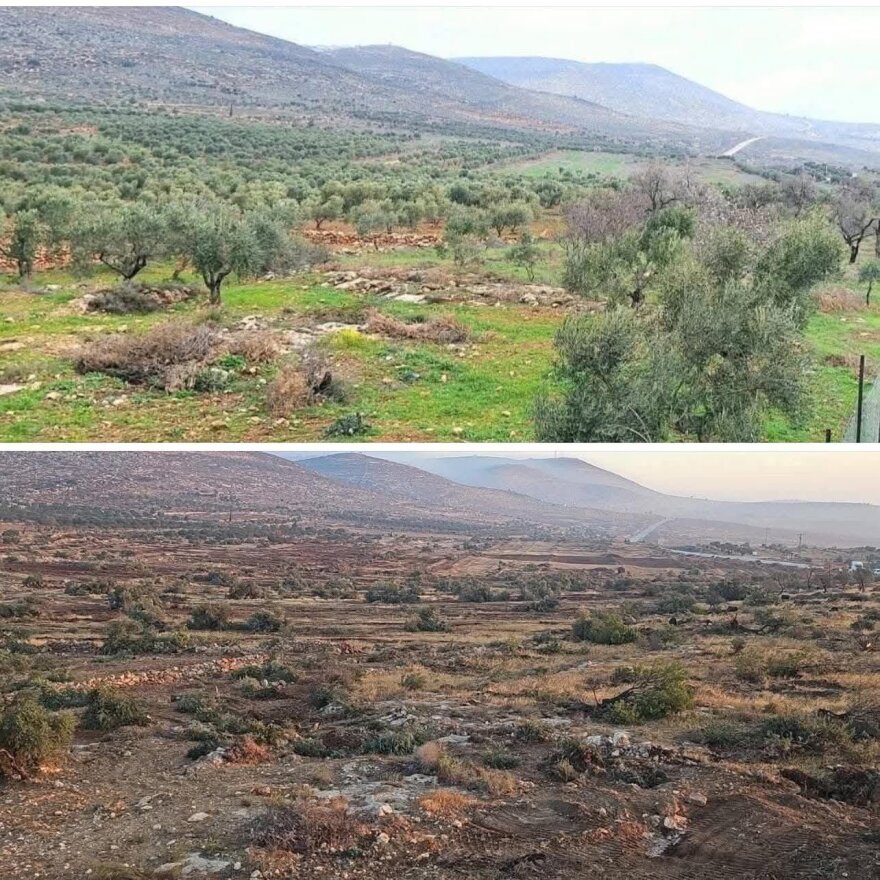 Ισραηλινές μπουλντόζες ξερίζωσαν χιλιάδες δέντρα σε χωριό της Δυτικής Όχθης – Δείτε βίντεο