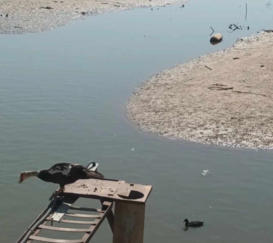 Η λίμνη της Αγυιάς εκπέμπει SOS: Λείπουν 50.000 κυβικά νερού, απειλείται η βιωσιμότητα των καλλιεργειών 