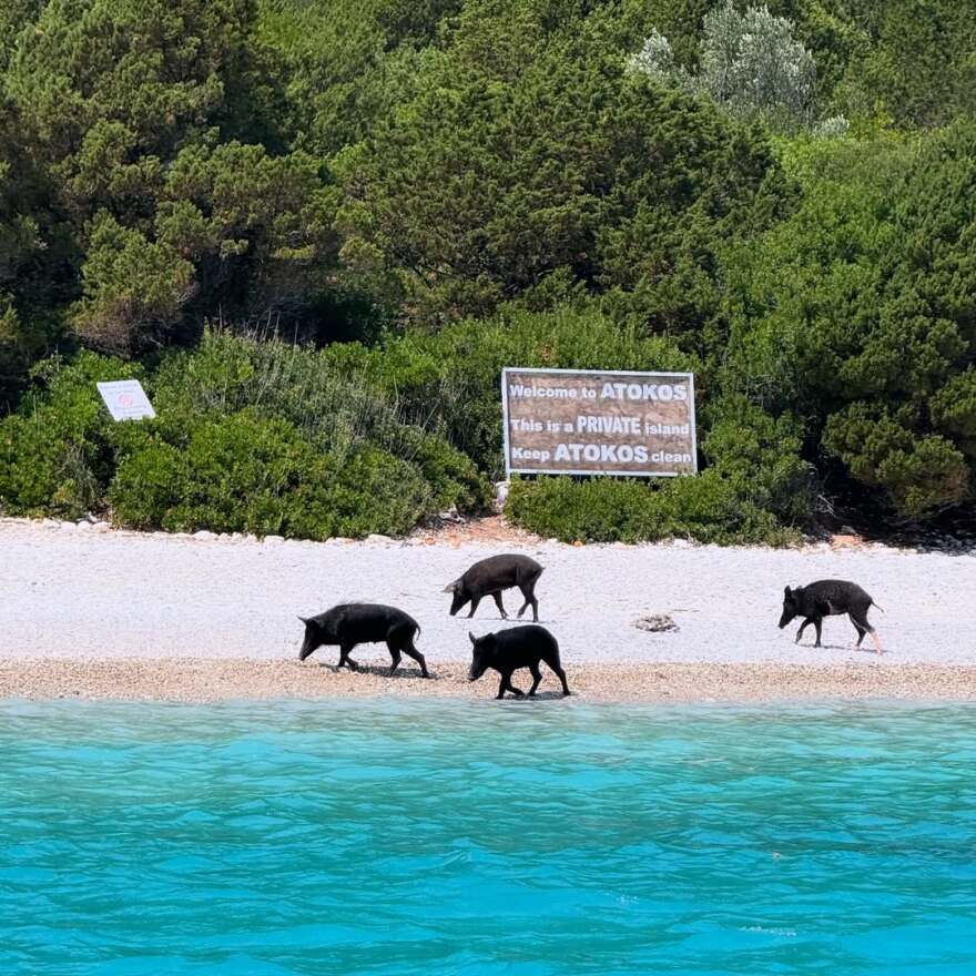 Η Μαρία Μπεκατώρου «έγραψε τη δική της ιστορία» στην Κεφαλονιά - Δείτε τις φωτογραφίες που ανέβασε Η Μαρία Μπεκατώρου «έγραψε τη δική της ιστορία» στην Κεφαλονιά - Δείτε τις φωτογραφίες που ανέβασε
